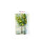 Oriana Toile Wallpaper Roll-25703979