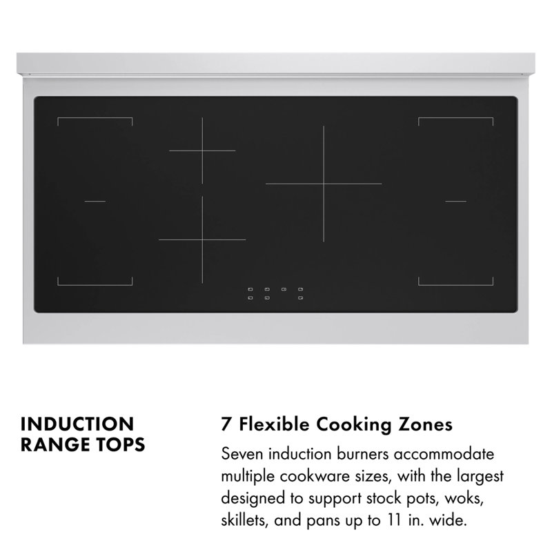 ZLINE 48 in. Paramount Induction Rangetop with 7 Element Cooktop in Stainless Steel, Stainless Steel
