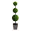 Plante de 45 po
