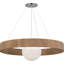 Arena 42" Ring and Globe Chandelier-1694418914