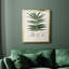 Toile encadrée de qualité supérieure Botanical Society-817771908-817771963