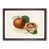 Walnut Framed