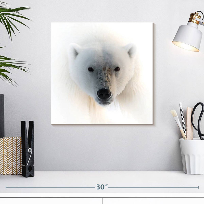 Portrait d'un ours polaire, H 16 po x l 16 po
