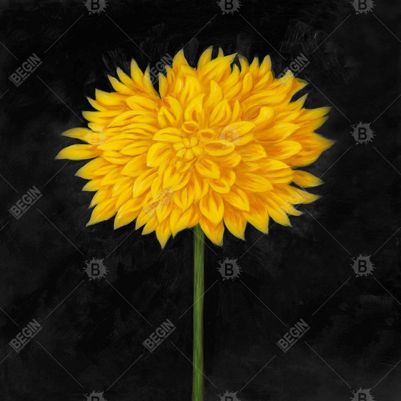 chrysanthemum - 32"x32" art on canvas
