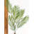 Palm Arrangement