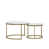 White / Gold