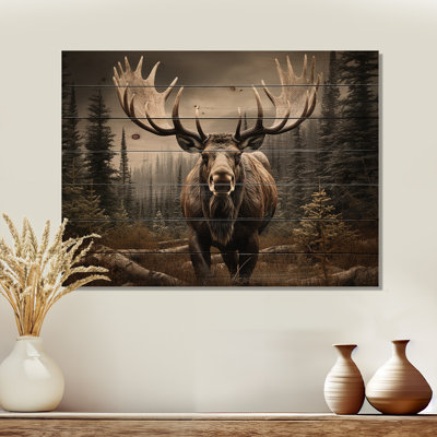 Brown Moose Majestic On Wood Print
