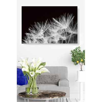 Haut, sur fond noir, noir et blanc