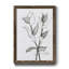 Charcoal Foliage II - Impression de cadre photo sur papier-1359303460-1359303473