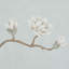 Papier peint arbre Magnolia-103897649