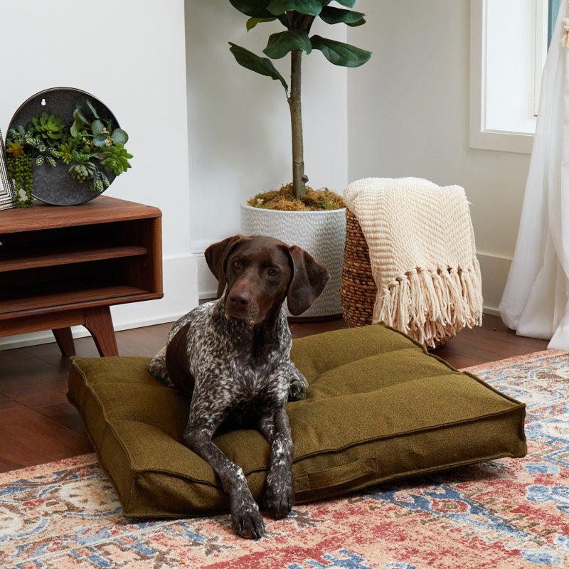 Lit pour chien Longwood, Moss, Moyen (l 32 po x P 32 po x H 5 po)