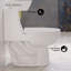 Toilette allongée une pièce à double chasse 1,1 / 1,6 gallons Avallon