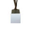 Green Myrtle Tree in White Pot