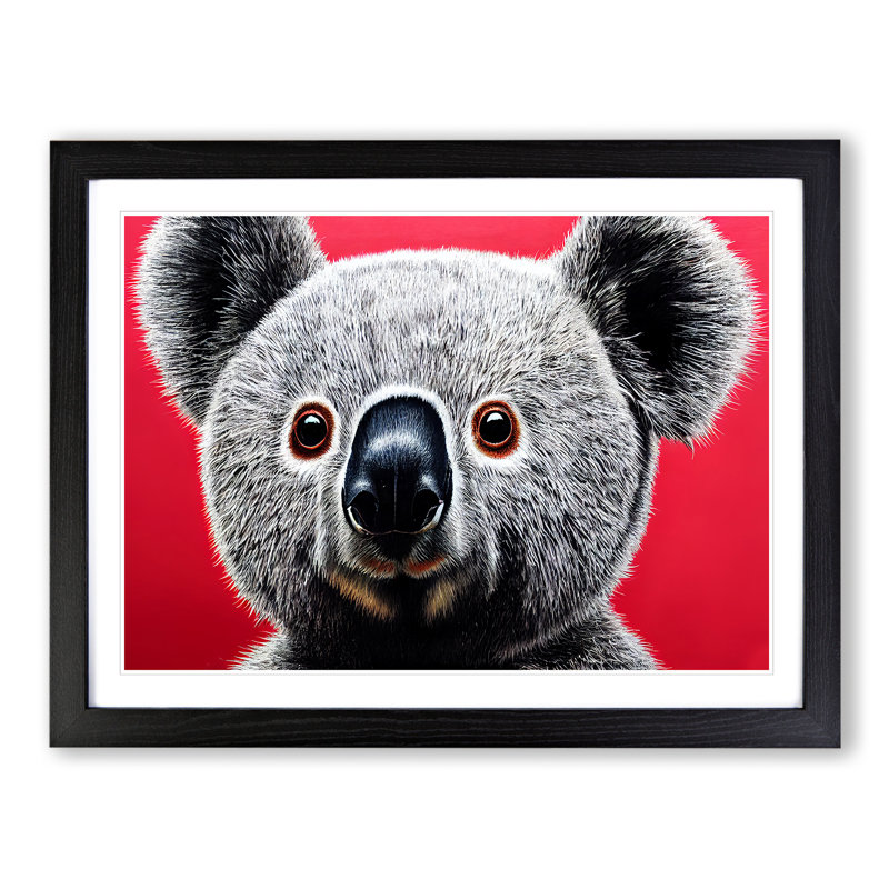 Handsome Koala Bear - Single Picture Frame Print, Black Framed, 25cm H x 34cm W x 2cm D