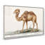 Camel by A.B. De Boodt - Wrapped Canvas Painting-55371699