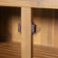Armoire de rangement Adair Mid-Century moderne en bois d'acacia avec portes en osier de polyéthylène pour patio et jardin