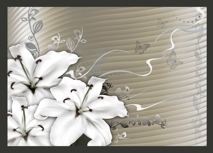 2.7m x 350cm Wallpaper, 200 cm x 154 cm