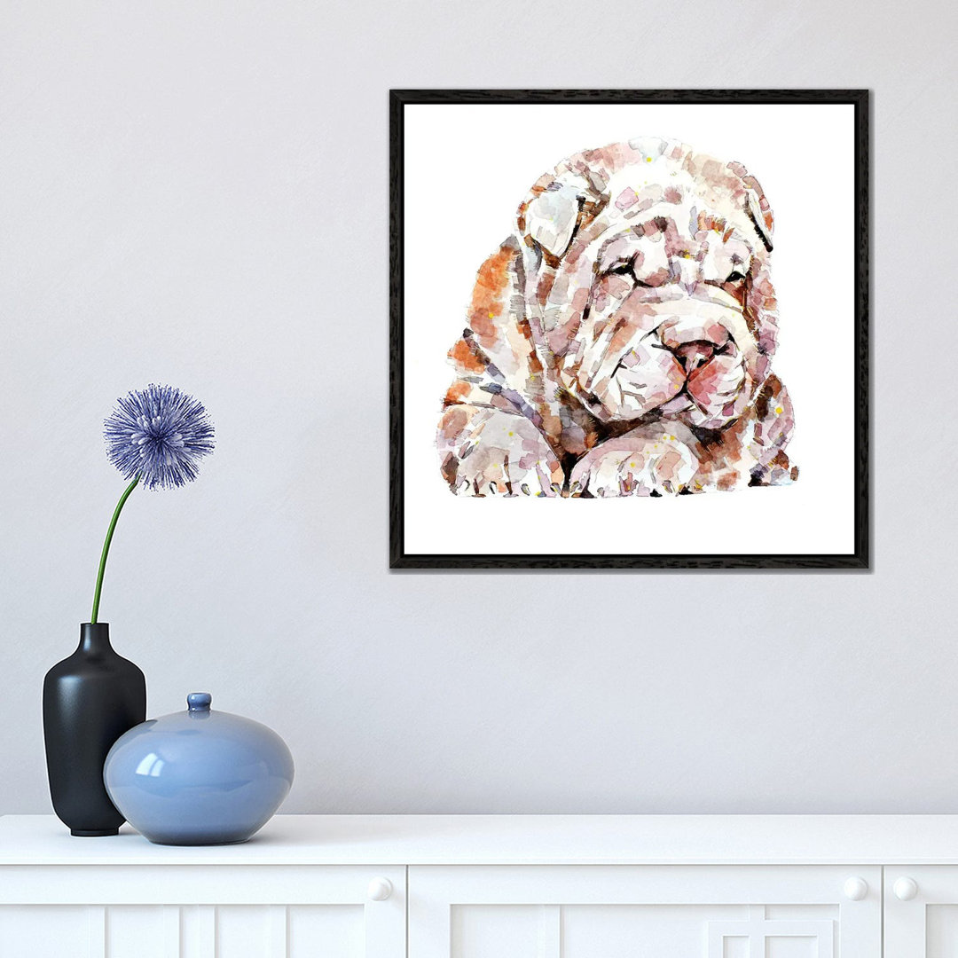 Shar Pei 1PC6