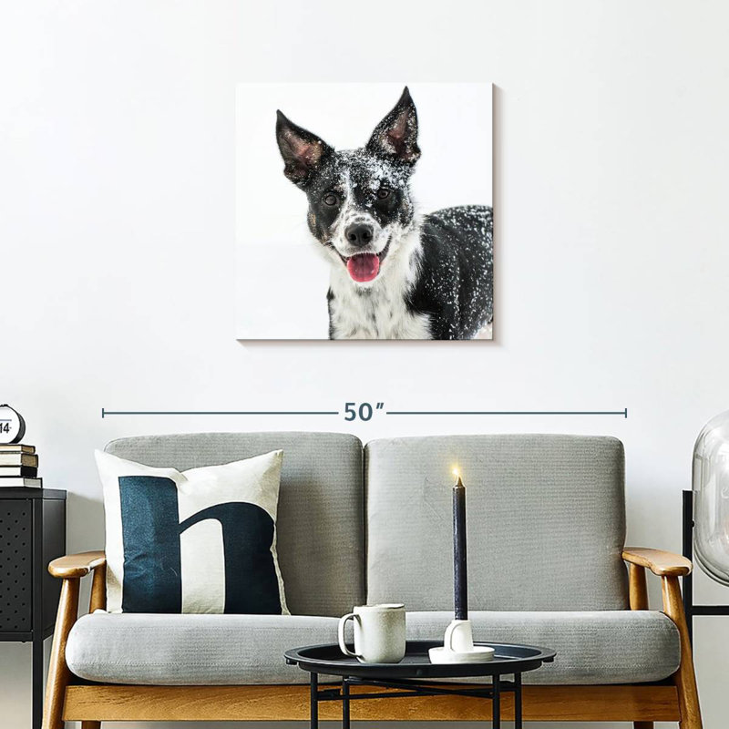 Brampt Snow Covered Border Collie, 24" H x 24" W