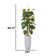 80.3'' Artificial Devil's Ivy In A Tall Beige Fiberstone Planter Perfect For Indoor And Outdoor Use