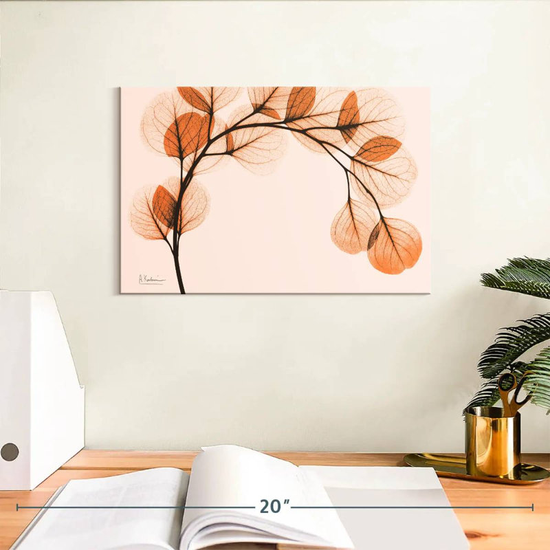 Harnek orange eucalyptus II, H 8 po x l 12 po