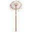 Beach Parasol-1554093423-1554093417