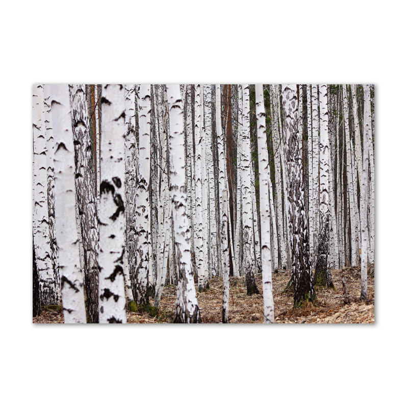 Birch-tree - No Frame Print on Canvas
