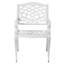 Chaise avec accoudoirs Phoenix (ensemble de 2)-893482157