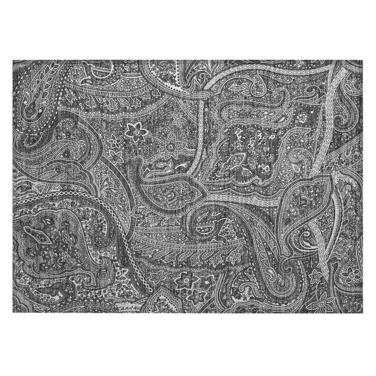 Itzayani Paisley Rug
