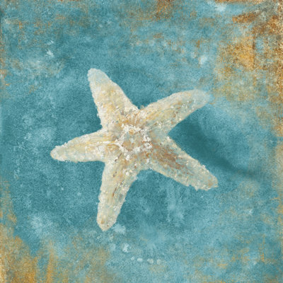 " Treasures From The Sea IV Aqua " by Danhui Nai Painting Print