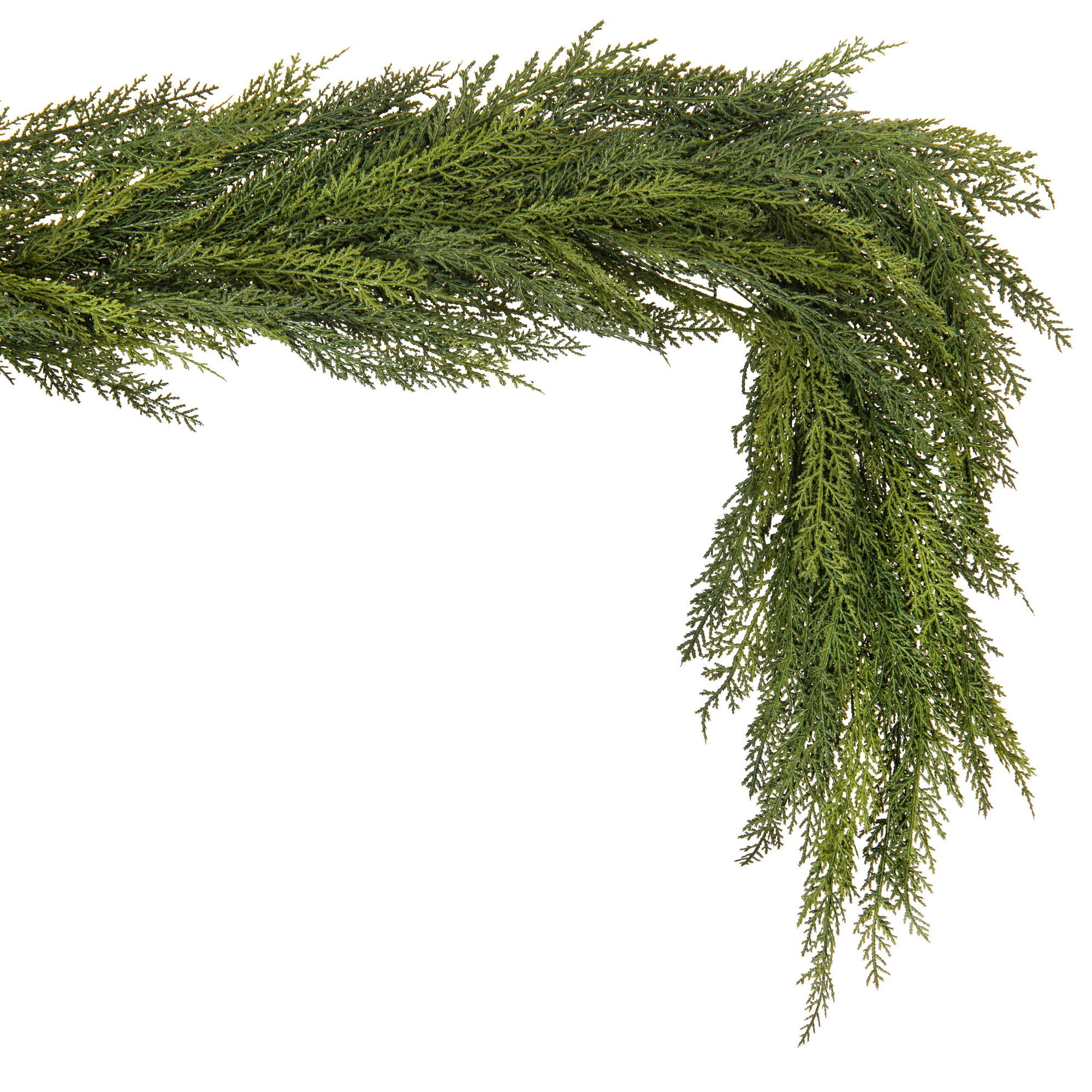 The Holiday Aisle® 72" Green Deluxe Cedar Garland. | Joss & Main