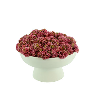 Polysilk Succulent Arrangement