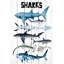 «Sharks», reproduction d'art sur bois blanc-61297432