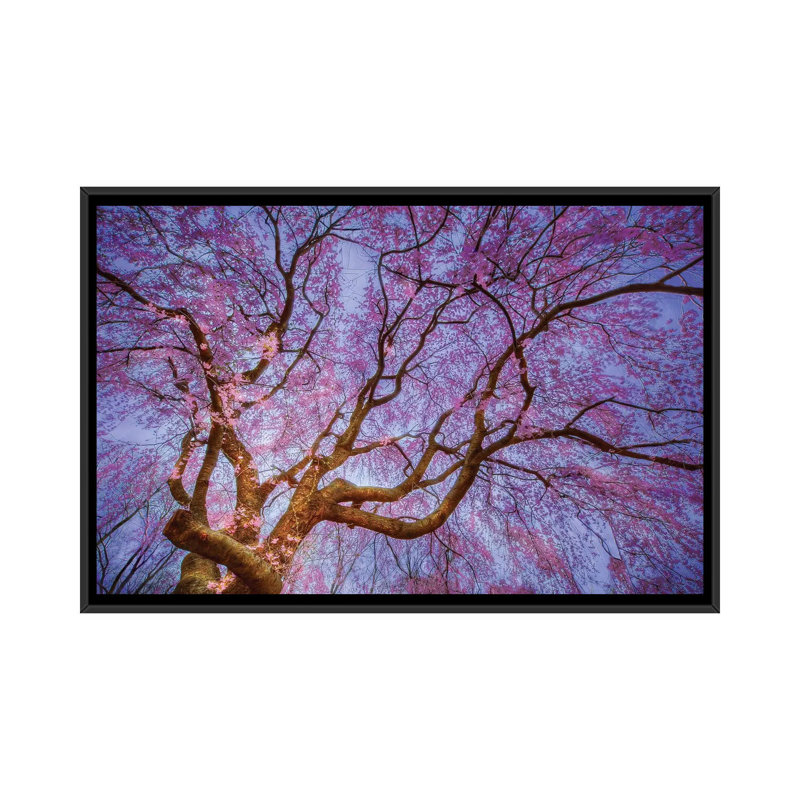 « weeping cerise » par natalie mikaels, peinture sur toile tendue, H 18 po x l 26 po x P 1,5 po, Toile avec cadre noir