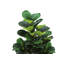 Fausse plante 47 po en polyéthylène (PE) 47 po