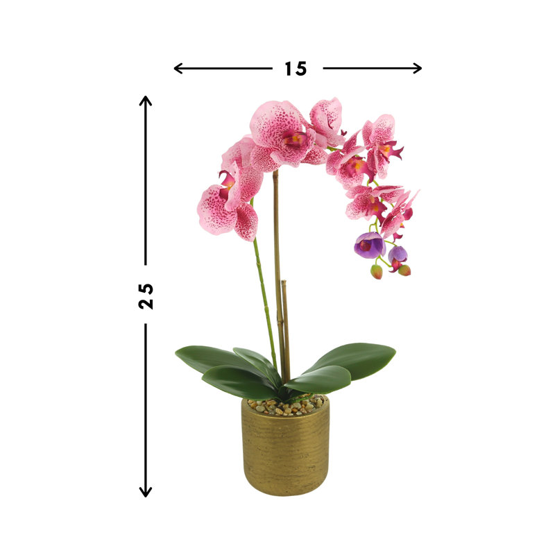 Arrangement floral orchidée dans un vase