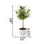 28'' Faux Olive Tree Tree in Pot