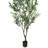 Faux Olive Tree Plant in Pot-797122077