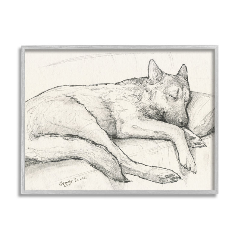 Chien enroulé au repos, graphite détaillé, giclée, ensemble d'art texturé par George Dyachenko, L 20 po x H 16 po