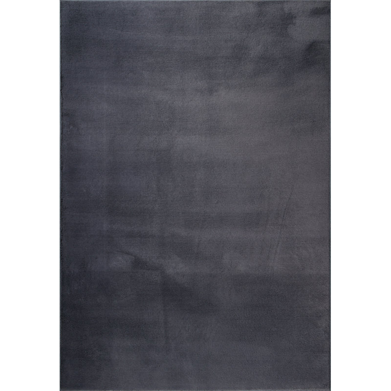Schnabel Solid Colour Area Rug, Rectangular 200 x 280cm