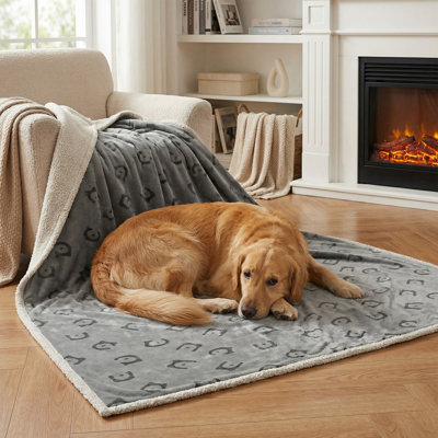 Pet Blanket