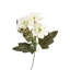 Woolwich Arrangement-1029377475