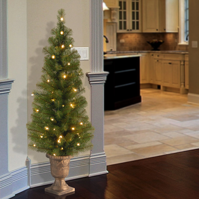 The Holiday Aisle® Montclair Spruce Entrance Tree with Clear Lights, 4'