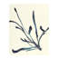 Plants X Print by Hable Construction-26774301-26774305