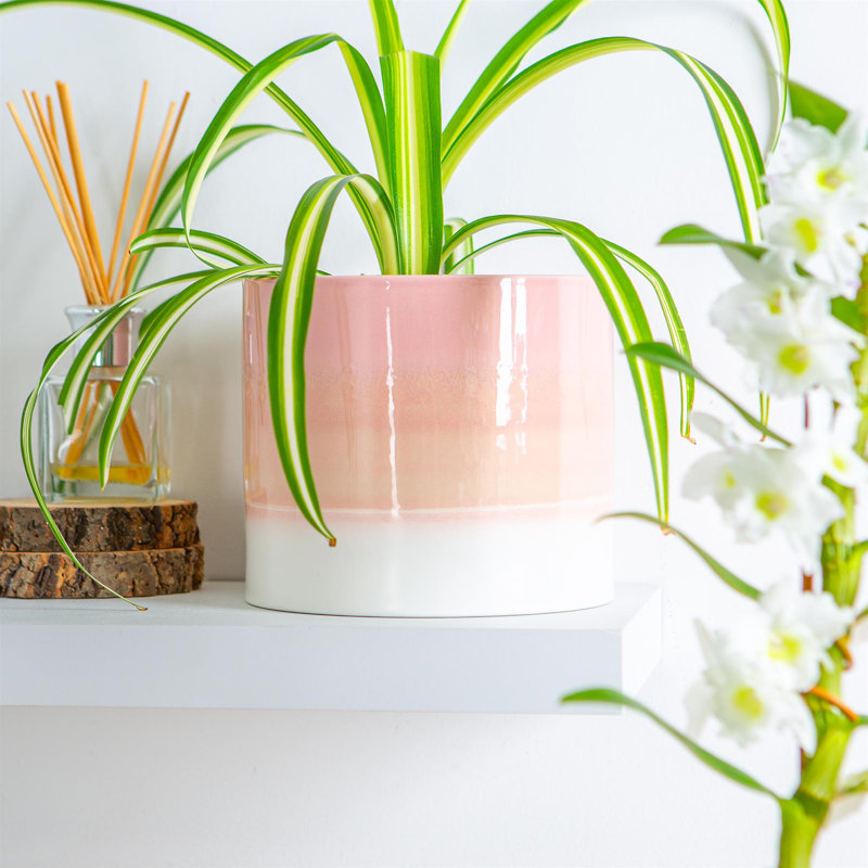 Nicola Spring - Reactive Glaze Plant Pots, 15.5cm H x 18cm W x 18cm D, Pink