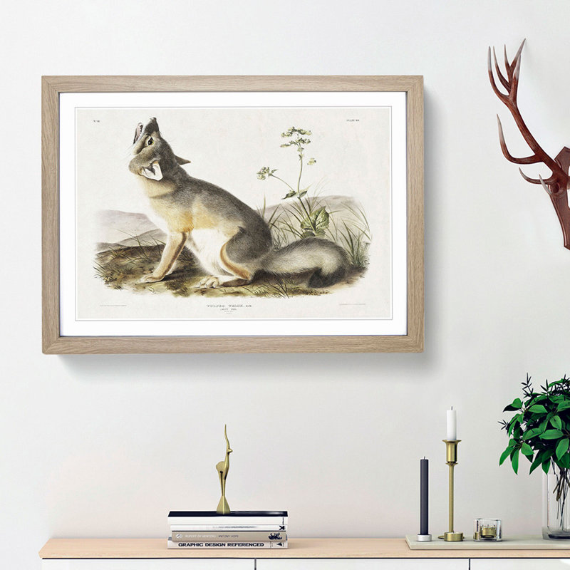 Swift Fox by J.W. Audubon - Picture Frame Art Prints, 48cm H x 65cm W x 2cm D, Oak Framed