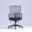 Cassity Task Chair-381812314