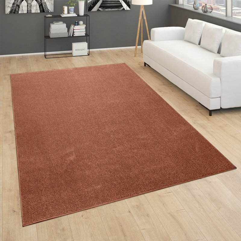 Crofford Uniform Color Area Rug, Rectangle 80 x 150cm