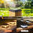 Matte Black Solar Powered Integrated LED Fence Post Cap Light with Base Adapter Included Pack