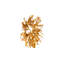 Cast Root Wall Decor, Gold Leaf